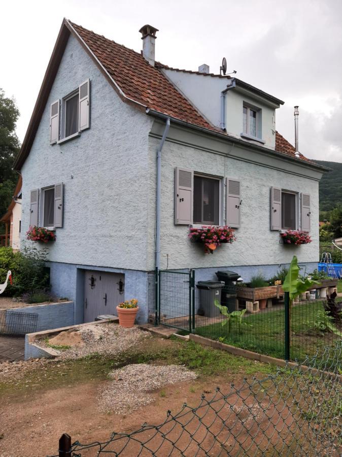 Gite Les Chiwawas D'Alsace Kaysersberg-Vignoble Екстериор снимка