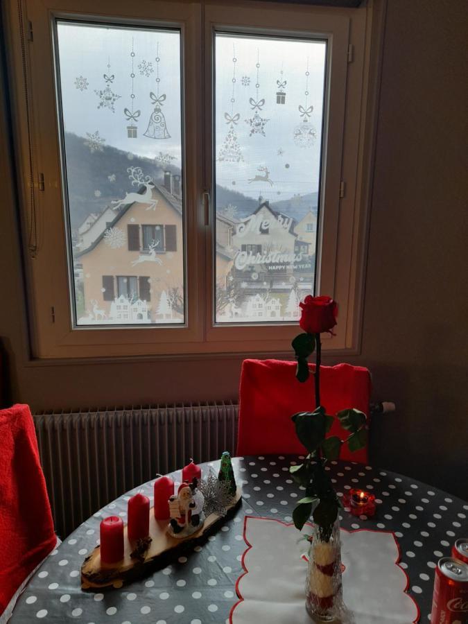 Gite Les Chiwawas D'Alsace Kaysersberg-Vignoble Екстериор снимка